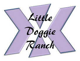 LDR Logo.PNG